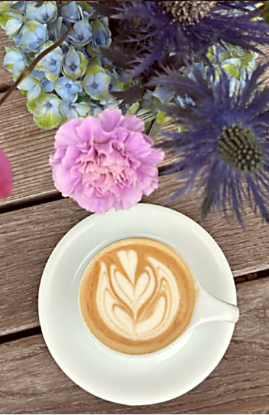 Specialty Coffee ist eine Welt für sich…