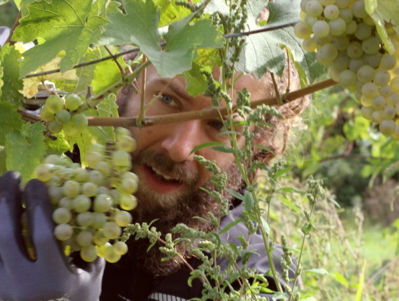 Welt zwischen Weinen