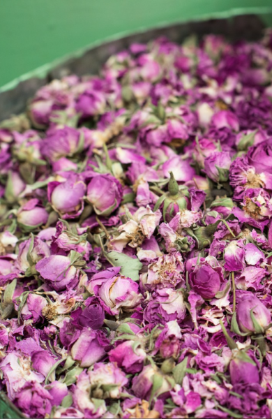 Von Den Haag, wo schon vor 200 Jahren G…